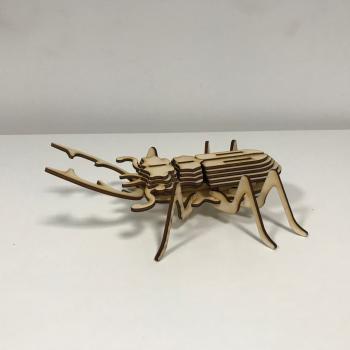 3D Modell Hirschkaefer aus Holz